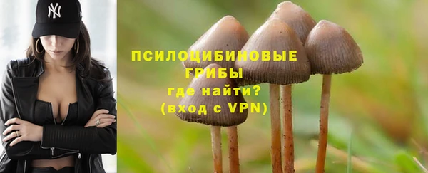 спиды Абинск