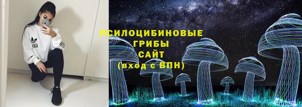 индика Абдулино