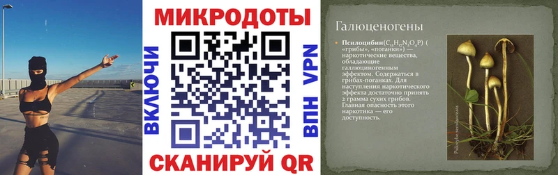 Псилоцибиновые грибы Cubensis  Топки 